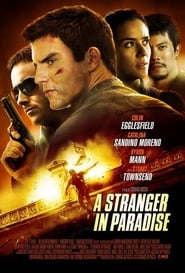 دانلود فیلم A Stranger in Paradise 2013 (یک غریبه در بهشت) دوبله فارسی بدون سانسور