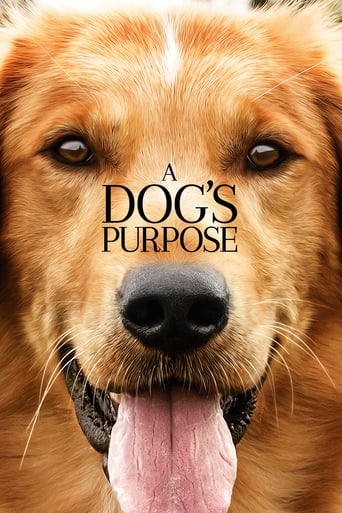 دانلود فیلم A Dog's Purpose 2017 (هدف یک سگ) دوبله فارسی بدون سانسور