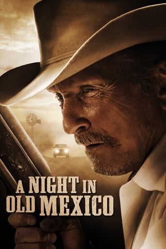 دانلود فیلم A Night in Old Mexico 2013 (شبی در مکزیک) دوبله فارسی بدون سانسور