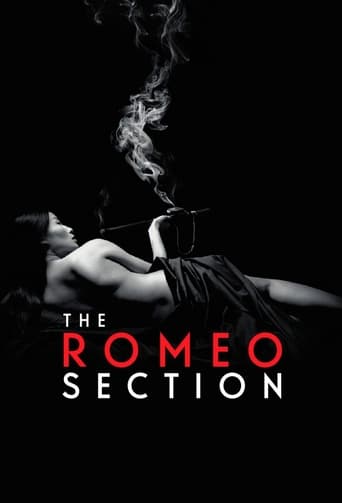 دانلود سریال The Romeo Section 2015 (بخش رومئو) دوبله فارسی بدون سانسور
