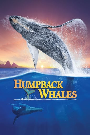 Humpback Whales 2015