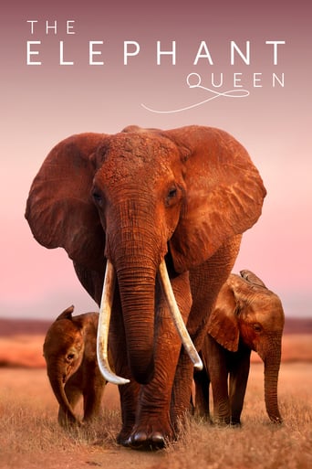 دانلود فیلم The Elephant Queen 2018 (فیل ملکه) دوبله فارسی بدون سانسور