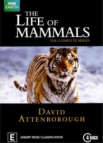 دانلود سریال The Life of Mammals 2002 دوبله فارسی بدون سانسور