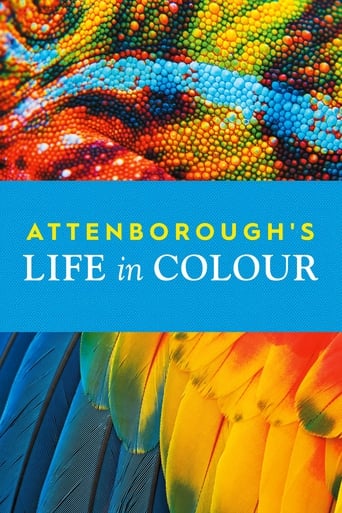 دانلود سریال Attenborough's Life in Colour 2021 (زندگی با رنگ) دوبله فارسی بدون سانسور