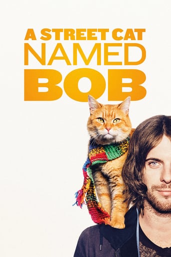 دانلود فیلم A Street Cat Named Bob 2016 (گربه خیابانی به نام باب) دوبله فارسی بدون سانسور