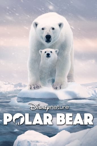 دانلود فیلم Polar Bear 2022 (خرس قطبی) دوبله فارسی بدون سانسور