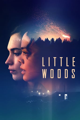 دانلود فیلم Little Woods 2018 (جنگل کوچک) دوبله فارسی بدون سانسور