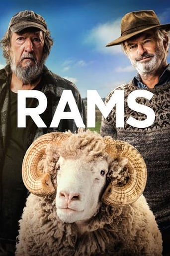 دانلود فیلم Rams 2020 (قوچ ها) دوبله فارسی بدون سانسور