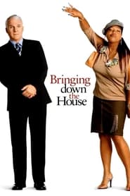 دانلود فیلم Bringing Down the House 2003 (تخریب خانه) دوبله فارسی بدون سانسور