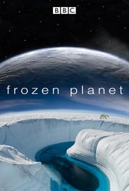 دانلود سریال Frozen Planet 2011 (سیاره یخ‌ زده) دوبله فارسی بدون سانسور