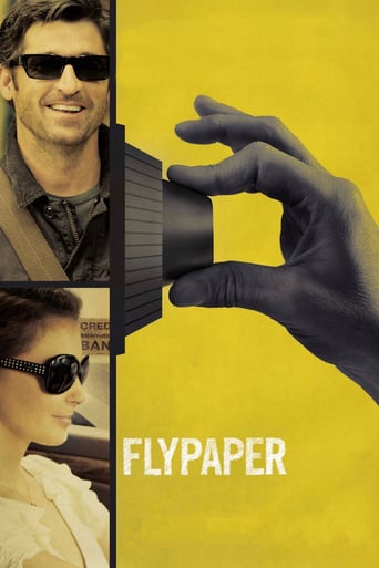 دانلود فیلم Flypaper 2011 دوبله فارسی بدون سانسور