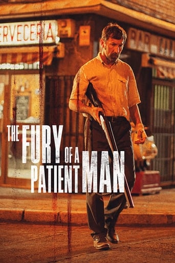 دانلود فیلم The Fury of a Patient Man 2016 (خشم مردی صبور) دوبله فارسی بدون سانسور