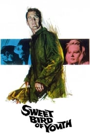 دانلود فیلم Sweet Bird of Youth 1962 دوبله فارسی بدون سانسور