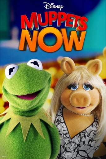 دانلود سریال Muppets Now 2020 (حالا ماپت‌ها) دوبله فارسی بدون سانسور
