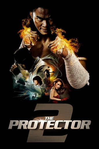 دانلود فیلم The Protector 2 2013 (حامی ۲) دوبله فارسی بدون سانسور