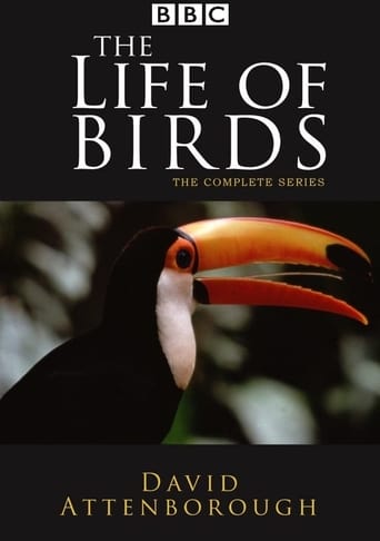 دانلود سریال The Life of Birds 1998 دوبله فارسی بدون سانسور